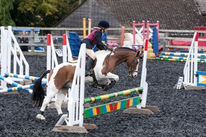 Class 3 -  Fences not above 2'3